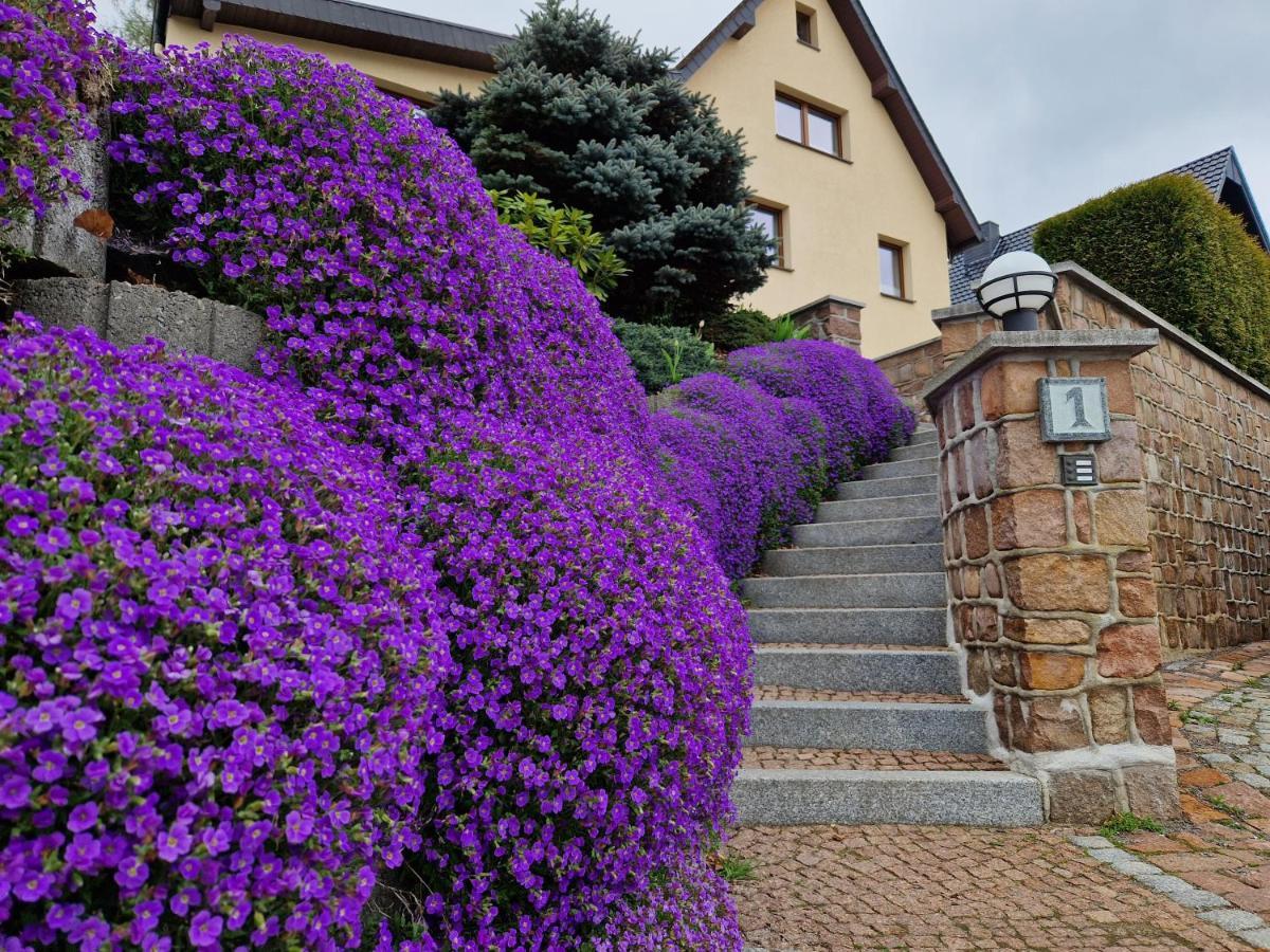 Ferienwohnung Hans Im Glueck Olbernhau Zewnętrze zdjęcie